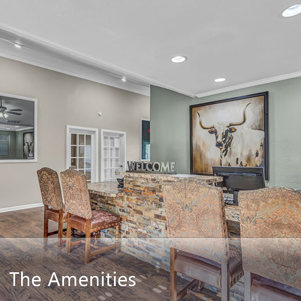 Features & Amenities